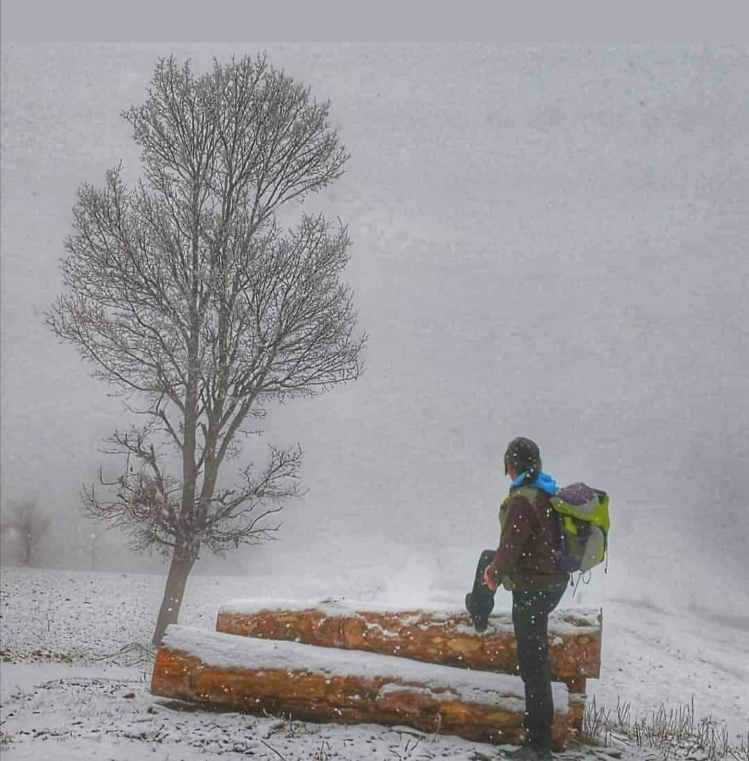 iyoleri'in bu yarış hakkındaki yorumu 